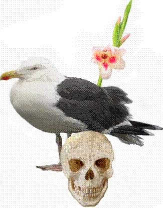 Le Général de Pierre - Livre III - La Mer