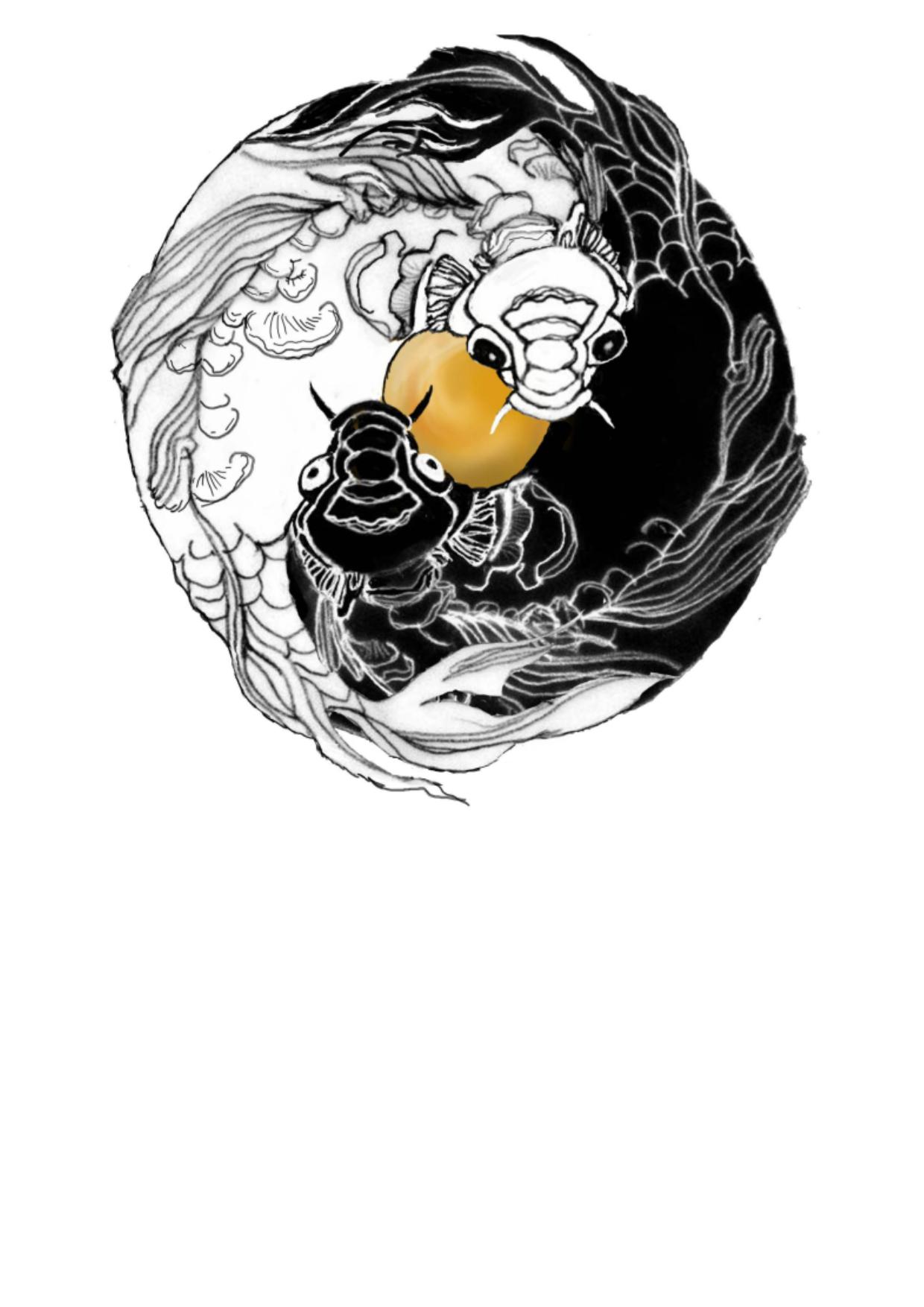 Le Général de pierre - Livre II - Deux-Rivières