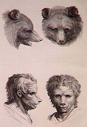 Lokis - Le manuscrit du professeur Wittembach