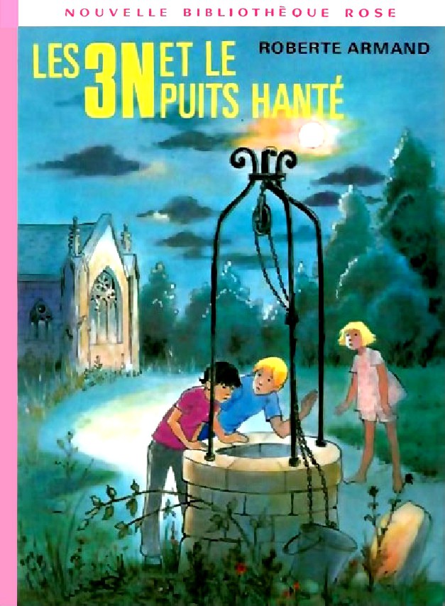 Les 3N et le puits hanté